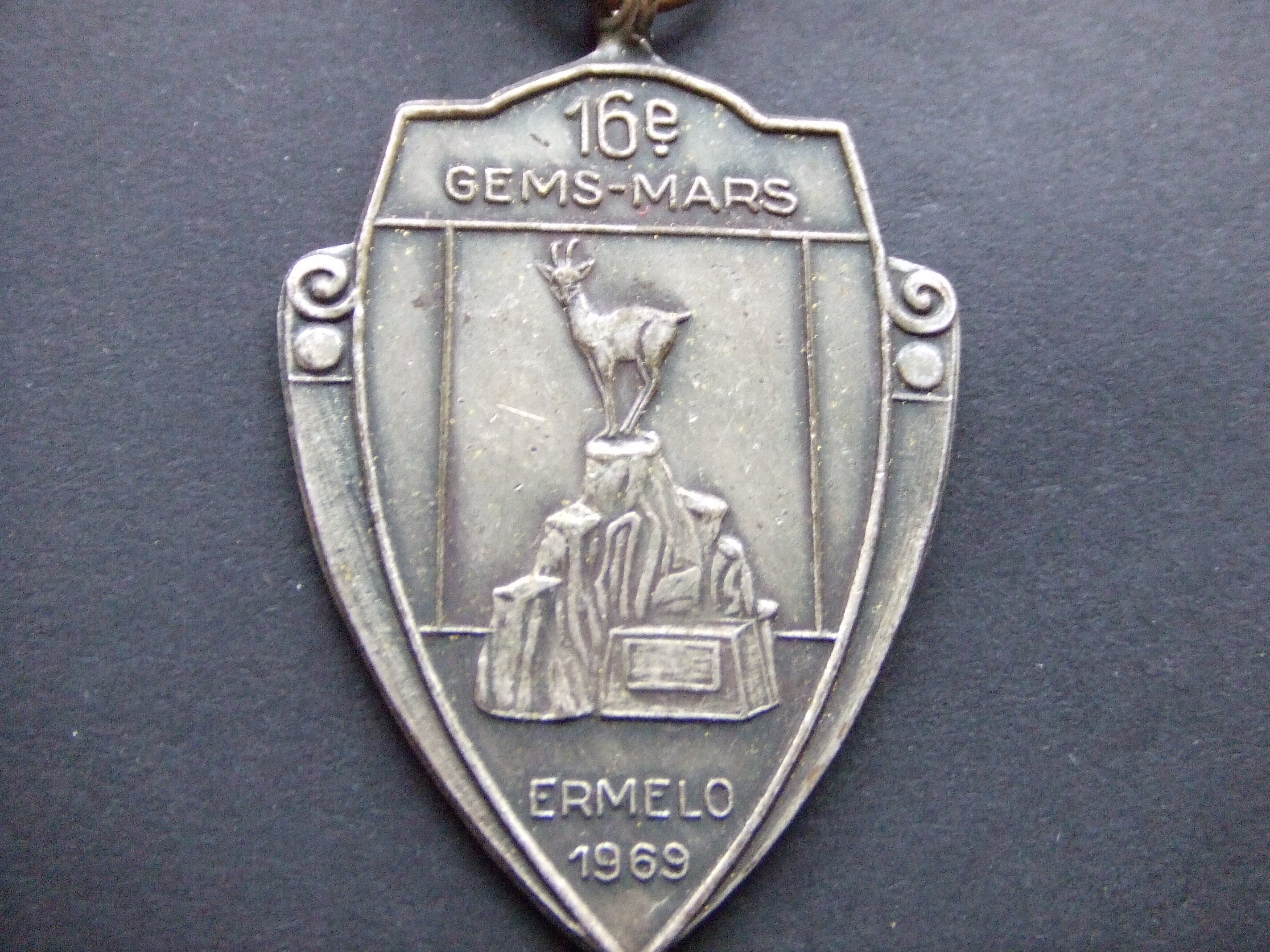 Ermelo op de Veluwe Gelderland 16e Gems mars 1969 wandelen